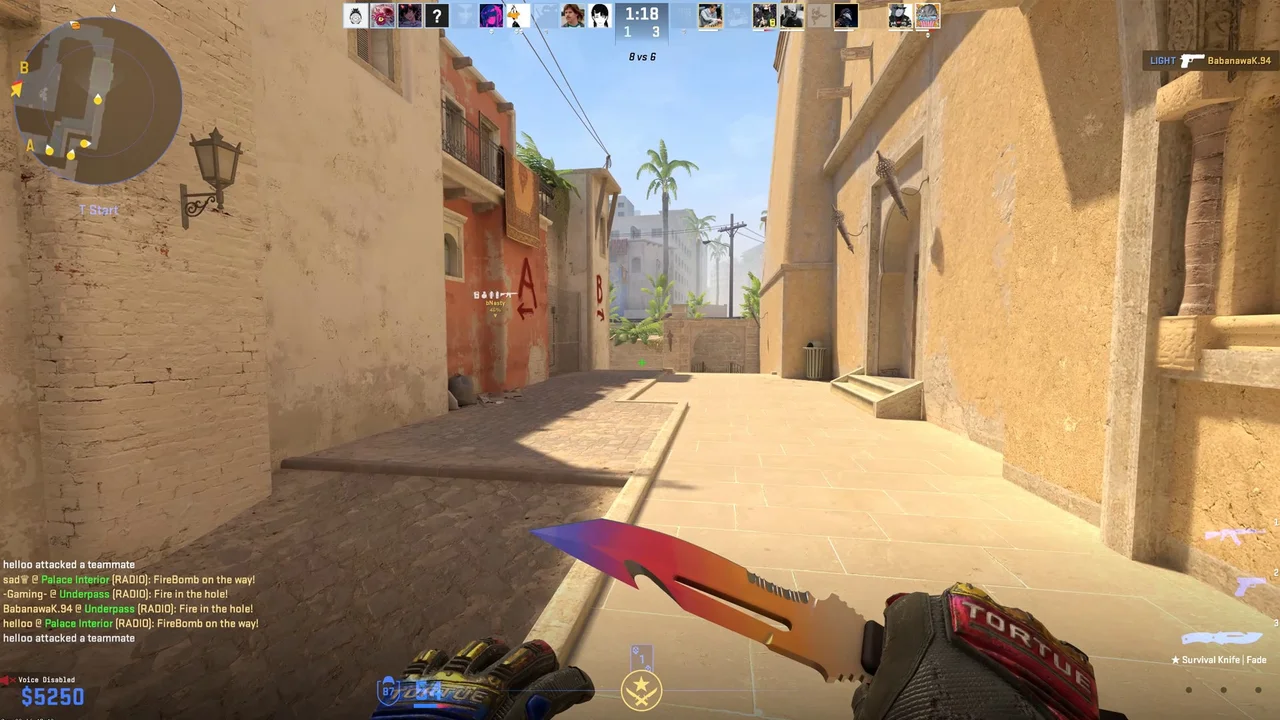 cs